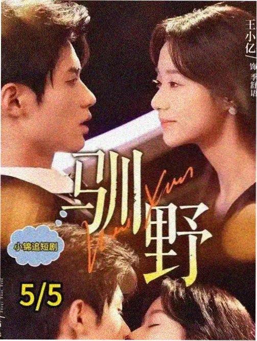 花开有声 丁香花高清影视